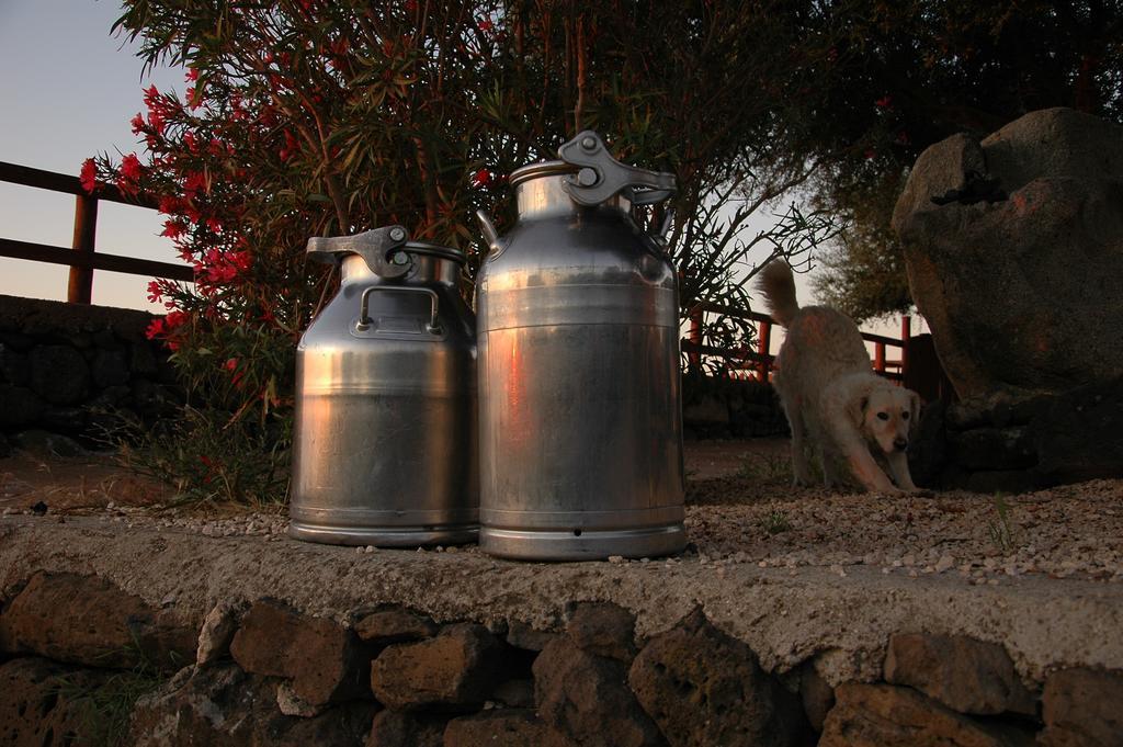 Villa Agriturismo Codula Fuili Cala Gonone Exterior foto