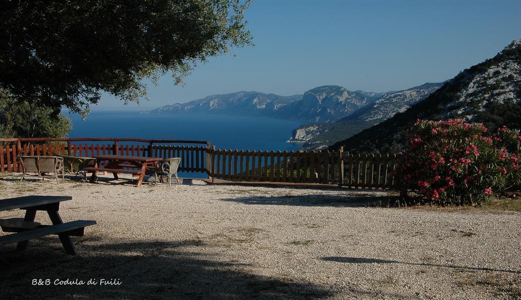 Villa Agriturismo Codula Fuili Cala Gonone Zimmer foto